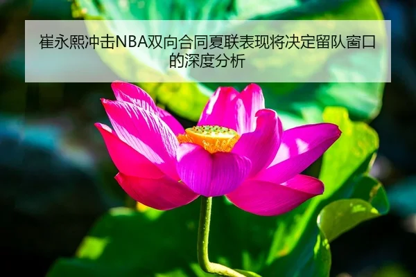 崔永熙冲击NBA双向合同夏联表现将决定留队窗口的深度分析 - HTH Sports