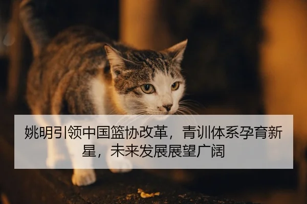 yao-ming-yin-ling-zhong-guo-lan-xie-gai-ge-qing-xun-ti-xi-yun-yu-xin-xing-wei-lai-fa-zhan-zhan-wang-guang-kuo-2-587.jpg